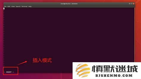 在Linux环境下利用Vim编辑器实现文本内容高效替换的详细教程