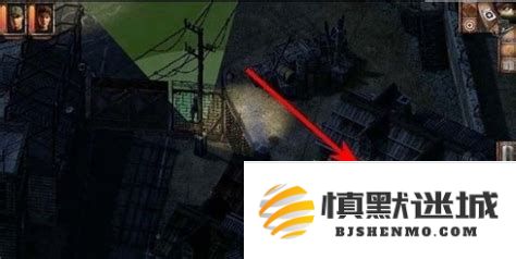 盟军勇士再战狼之夜：二战传奇中的致命突袭