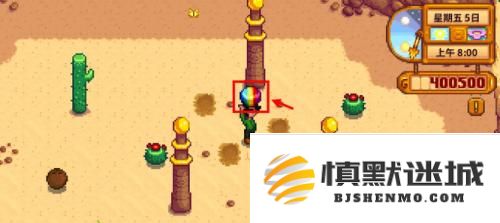 星露谷物语沙漠柱子怎么献祭