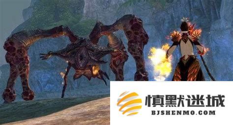 激战2游侠如何顺利捕捉各种宠物技巧与攻略分享