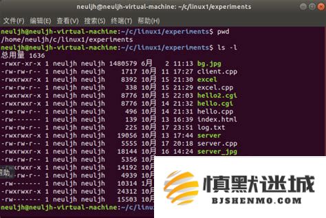 全面掌握服务器Linux系统的安装与重装技巧与步骤详解指南，助你轻松应对各种场景