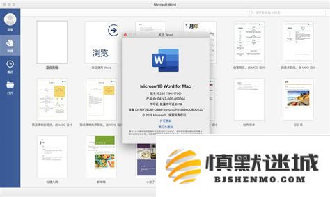 在Mac版Word中逐步教你如何删除特定页面及其页眉的详细操作指南