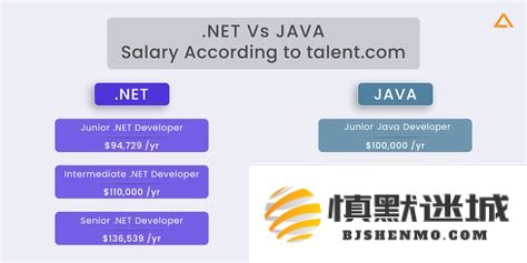.NET与Java开发的关键差异探讨及两者在Web开发领域的比较分析