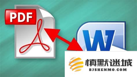 如何将PDF文件中的表格转换为Word文档表格格式的详细步骤与技巧