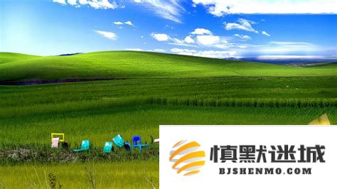 大白菜系统安装指南：详细步骤教你在Windows XP环境下顺利装机