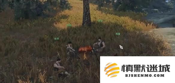 逆水寒手游猪猪迷踪奇遇怎么过