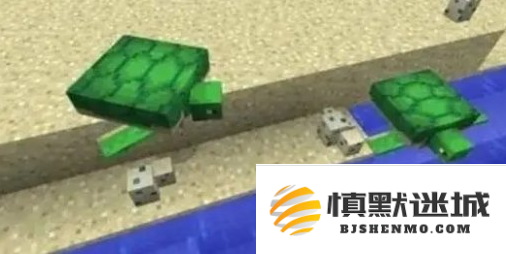 我的世界海龟蛋怎么孵化