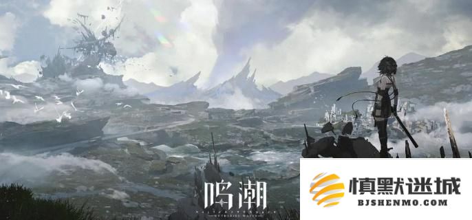 鸣潮游戏中赞妮角色配队技巧与阵容完美搭配详细攻略解析