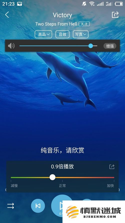67f43387d88c9.png