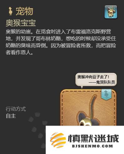 最终幻想14水晶世界奥猴宝宝宠物怎么获取