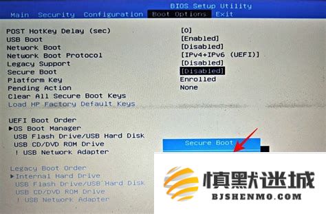 如何在BIOS设置中定位U盘启动选项的详细步骤解析与指南